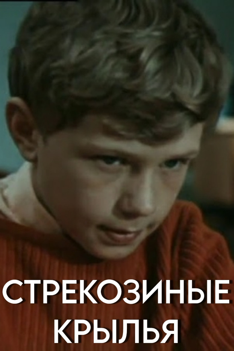 Dragonfly Wings poster background