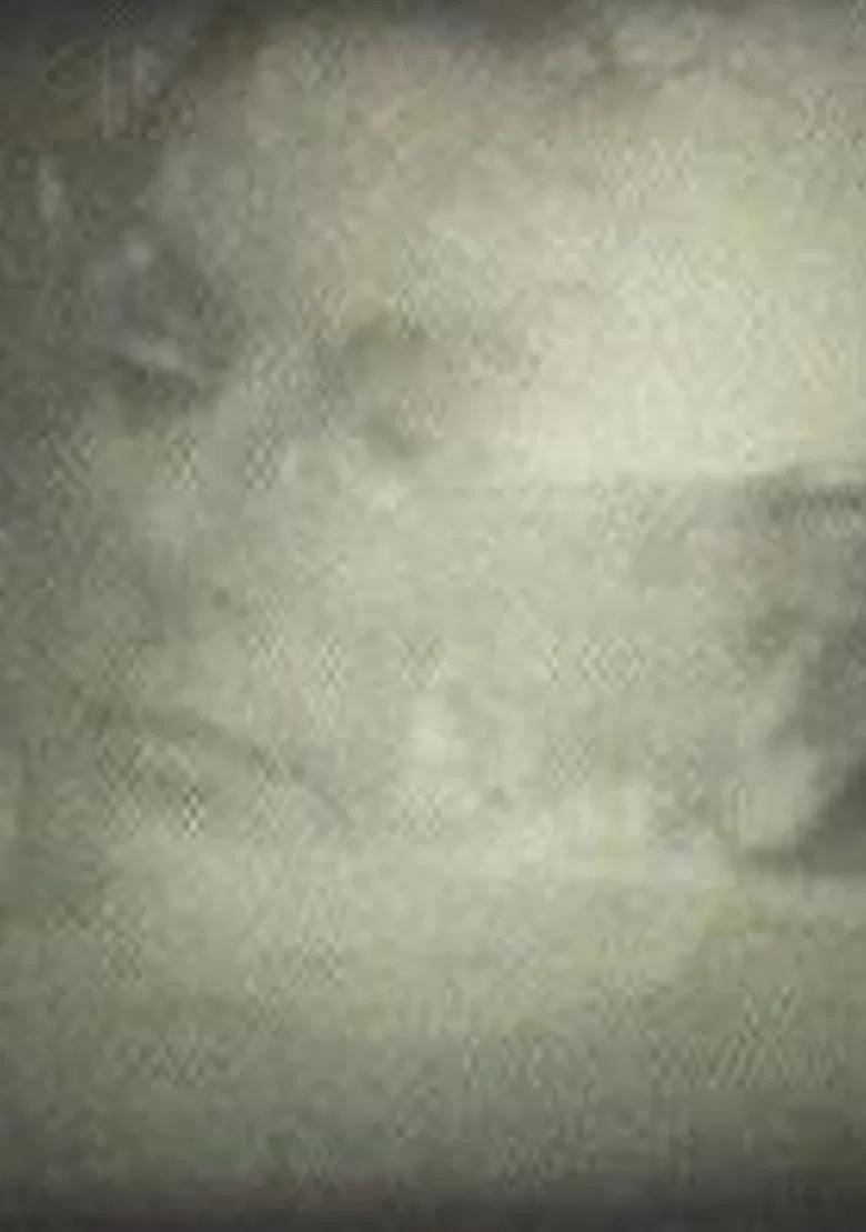 Yo veo conejos poster background