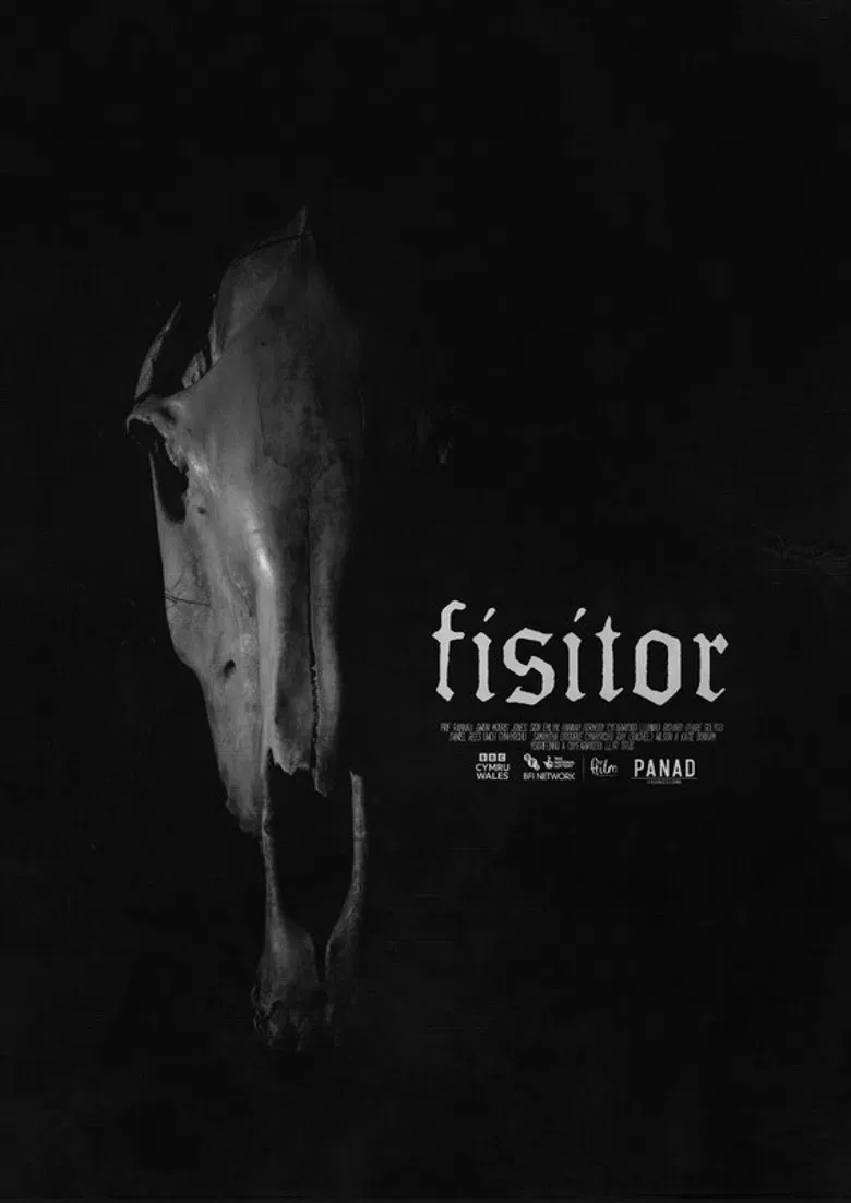 Fisitor poster background