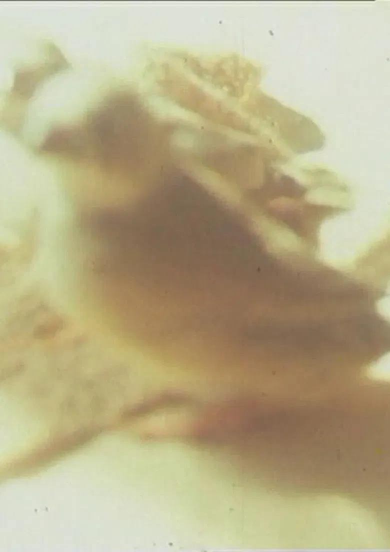 Ich hasse, ich liebe Film poster background