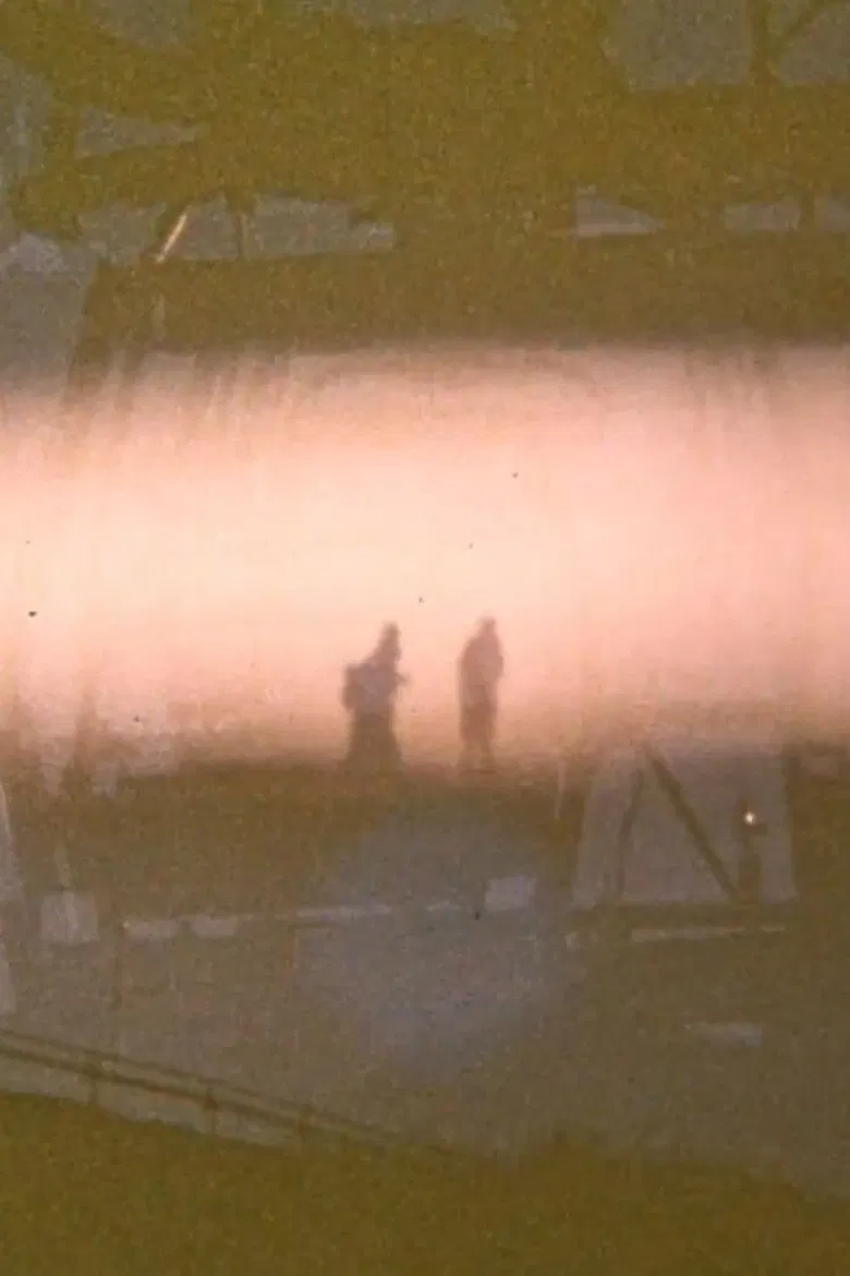 Signify poster background