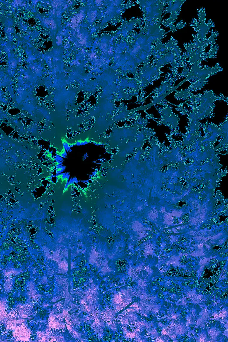 Bestiari poster background