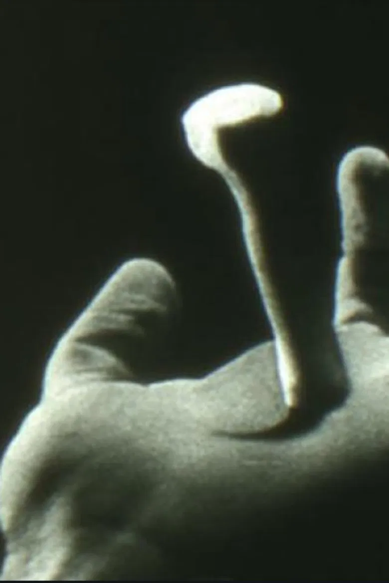 Non Catholicam poster background