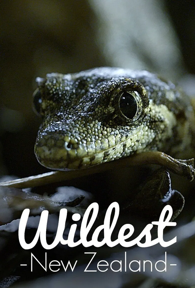 Wildest New Zealand poster background