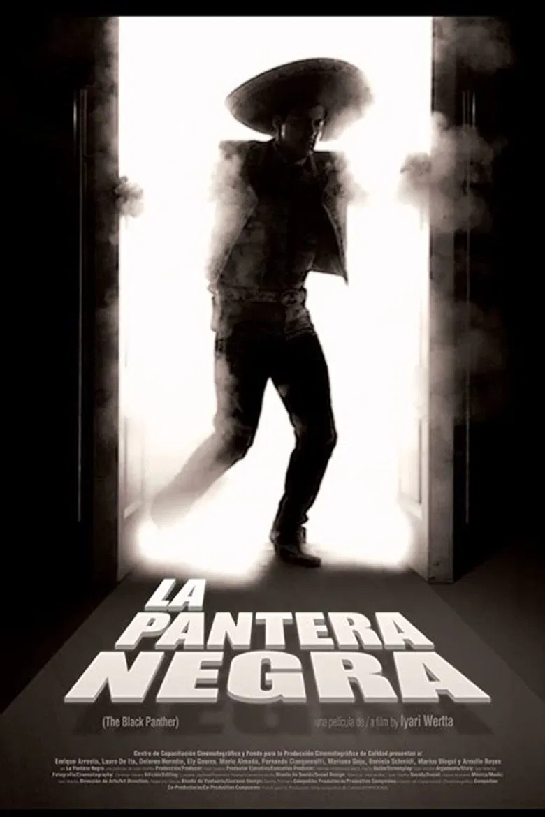 La pantera negra poster background