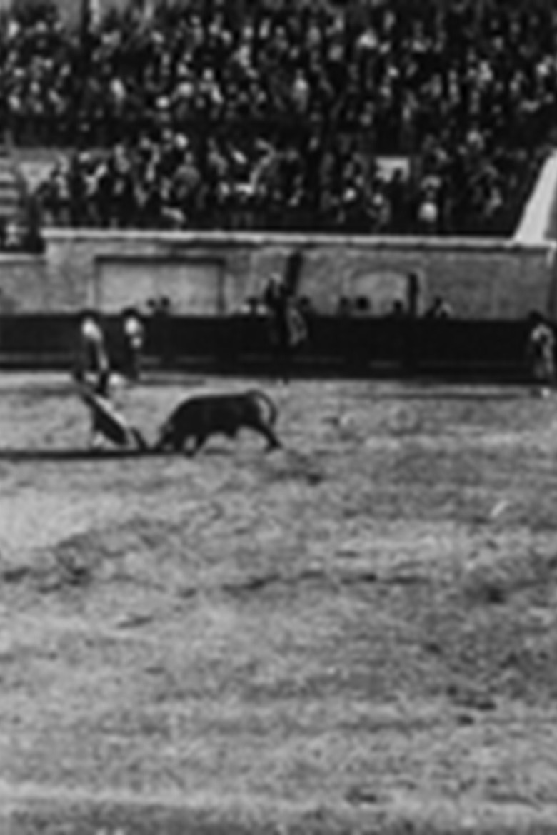 Course de taureaux : passements de manteaux poster background