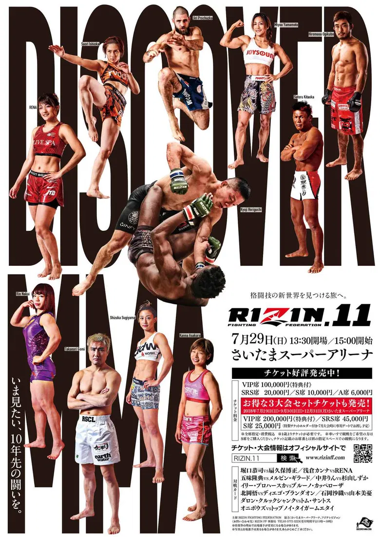 RIZIN 11 poster background