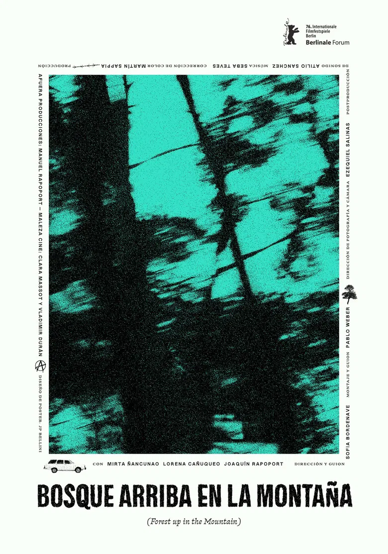 Forest up in the Mountain poster background