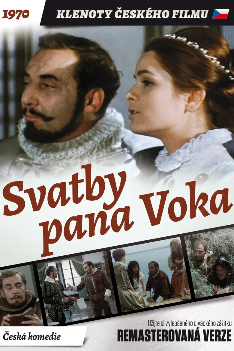 Svatby pana Voka poster background