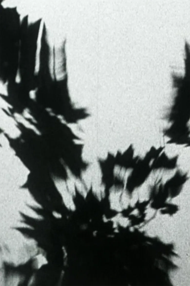 Sheller Shares Her Secret poster background