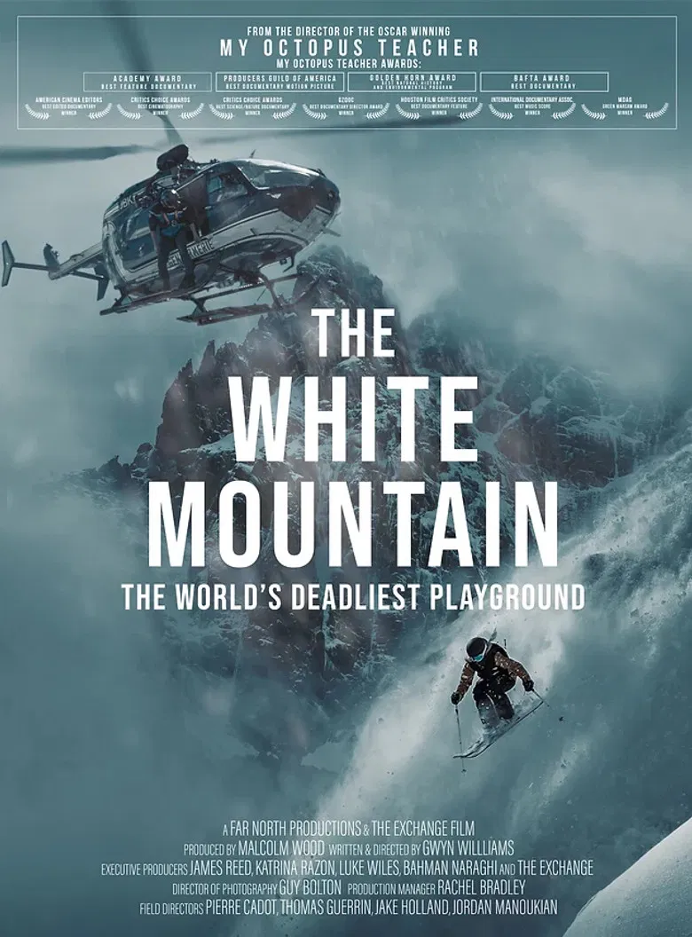 The White Mountain poster background