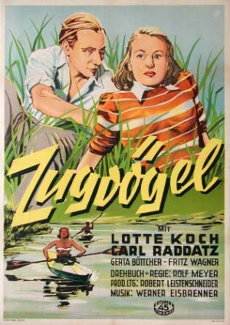 Zugvögel poster background