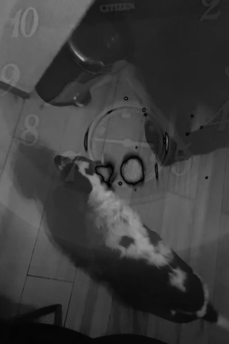 Tarta poster background