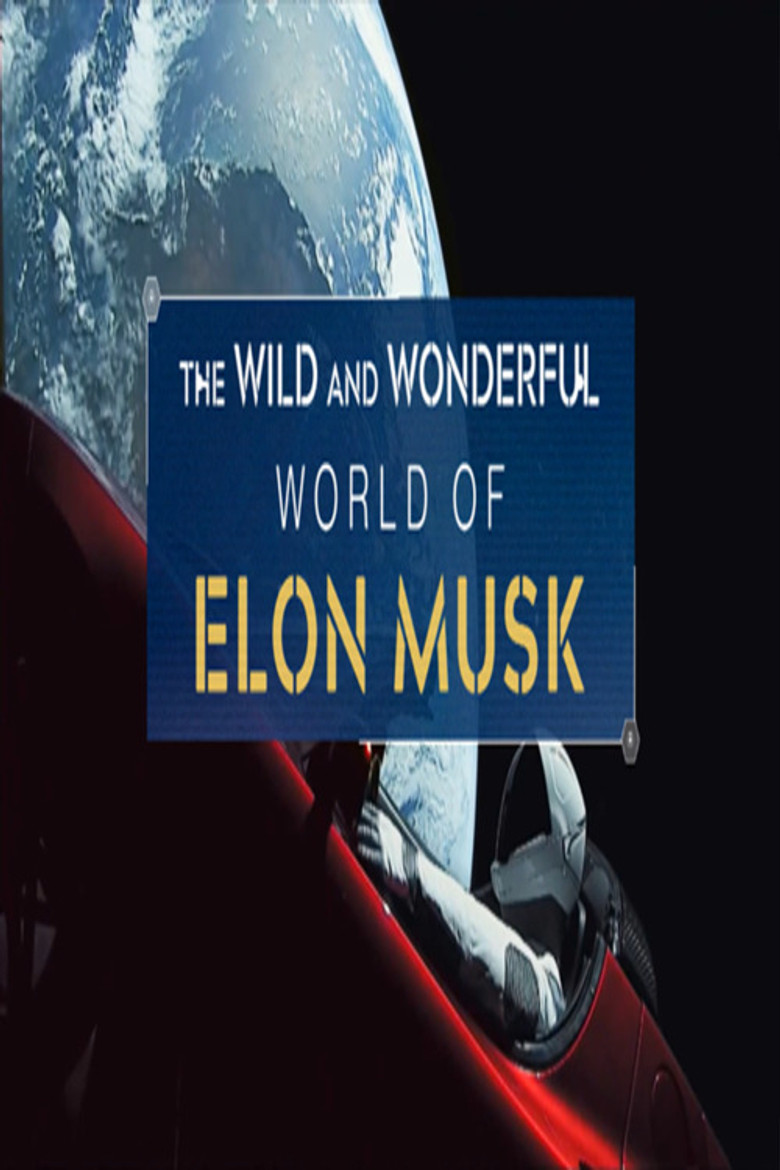 The Wild and Wonderful World of Elon Musk poster background