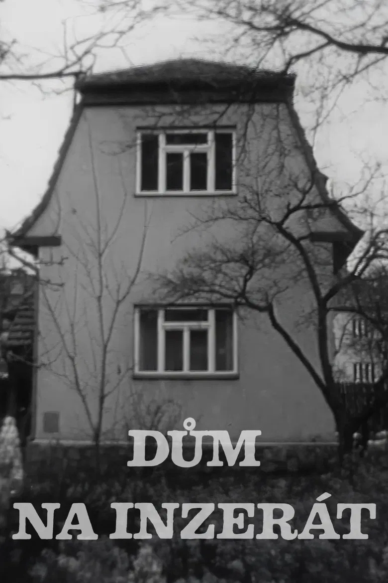 Dům na inzerát poster background