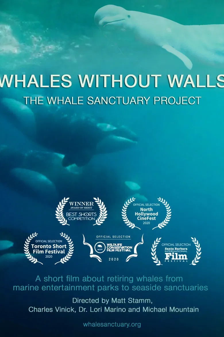Whales Without Walls poster background
