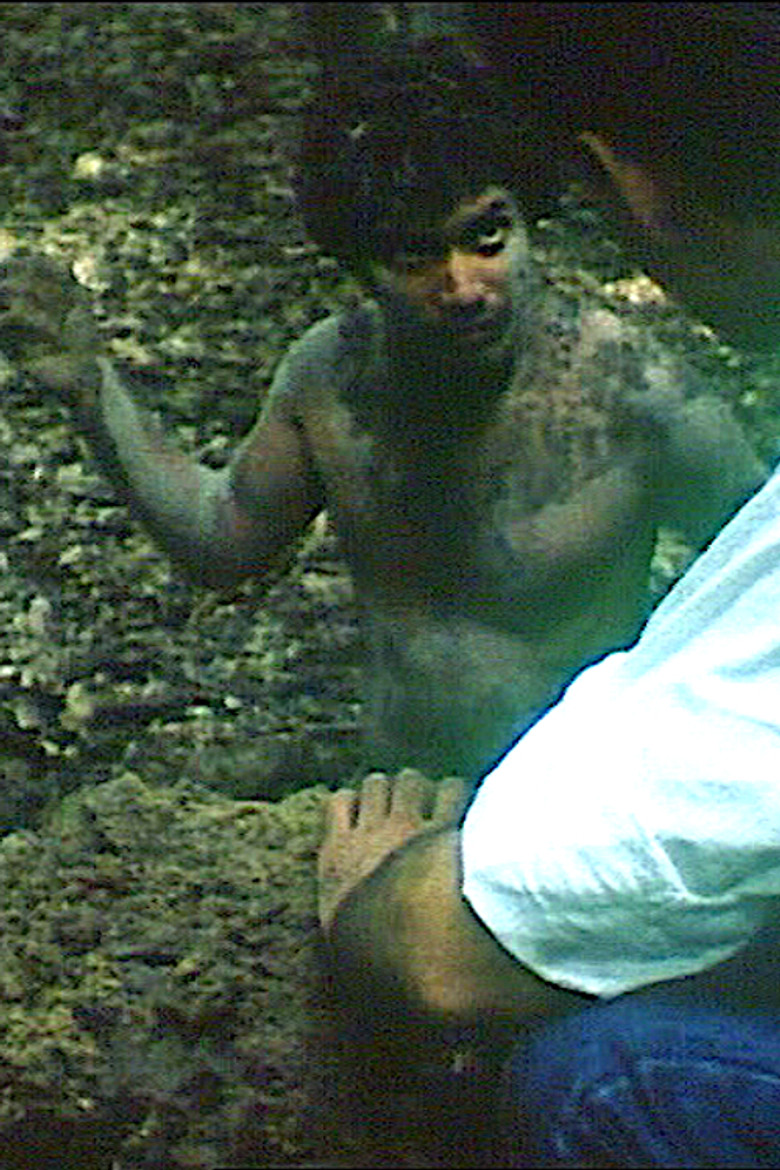 Concerto pour Aloual poster background