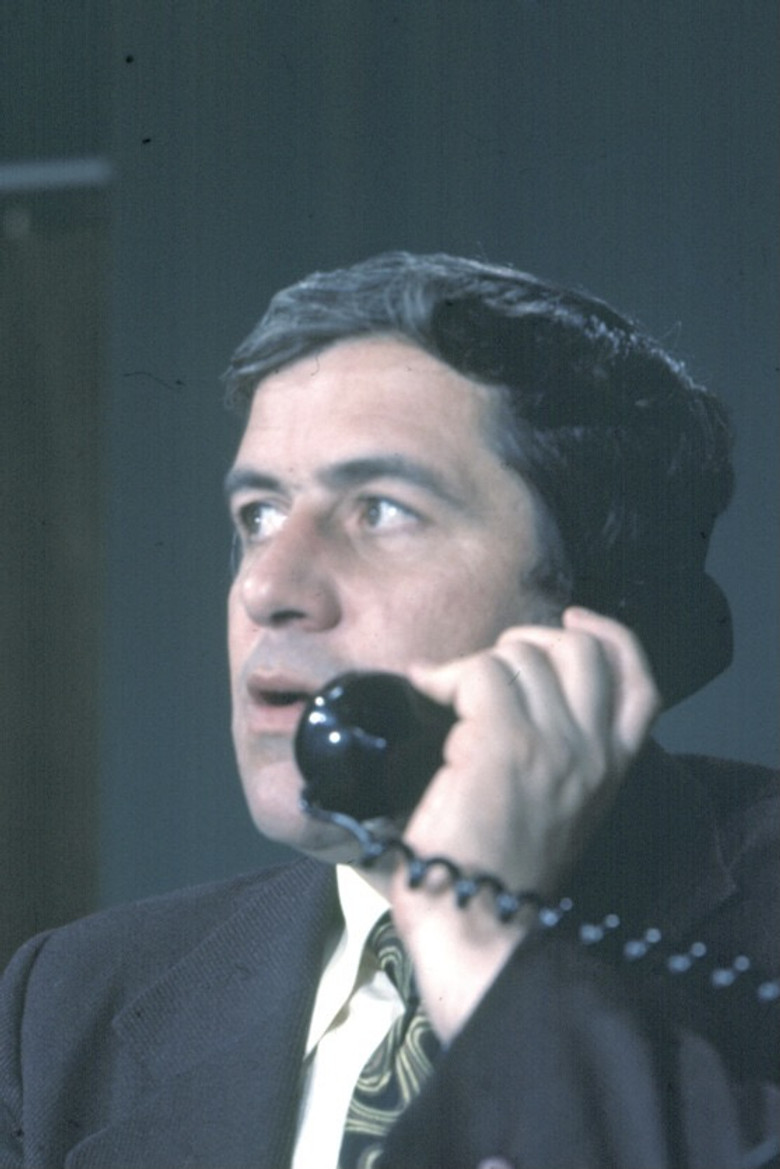 Two for the Seesaw poster background