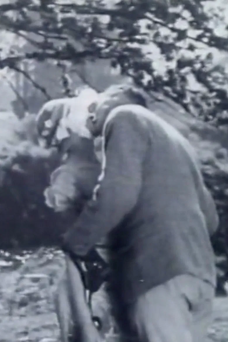 Hamilton Talks poster background