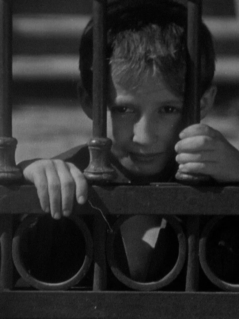 Leiba Zibal poster background