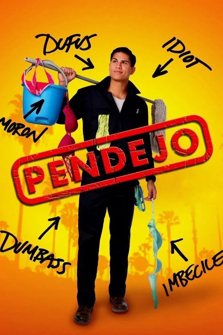 Pendejo (Idiot) poster background