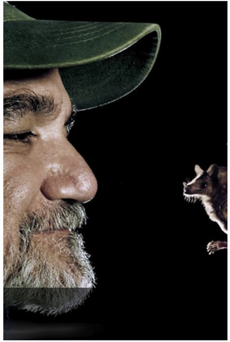 The Bat Man of Mexico poster background