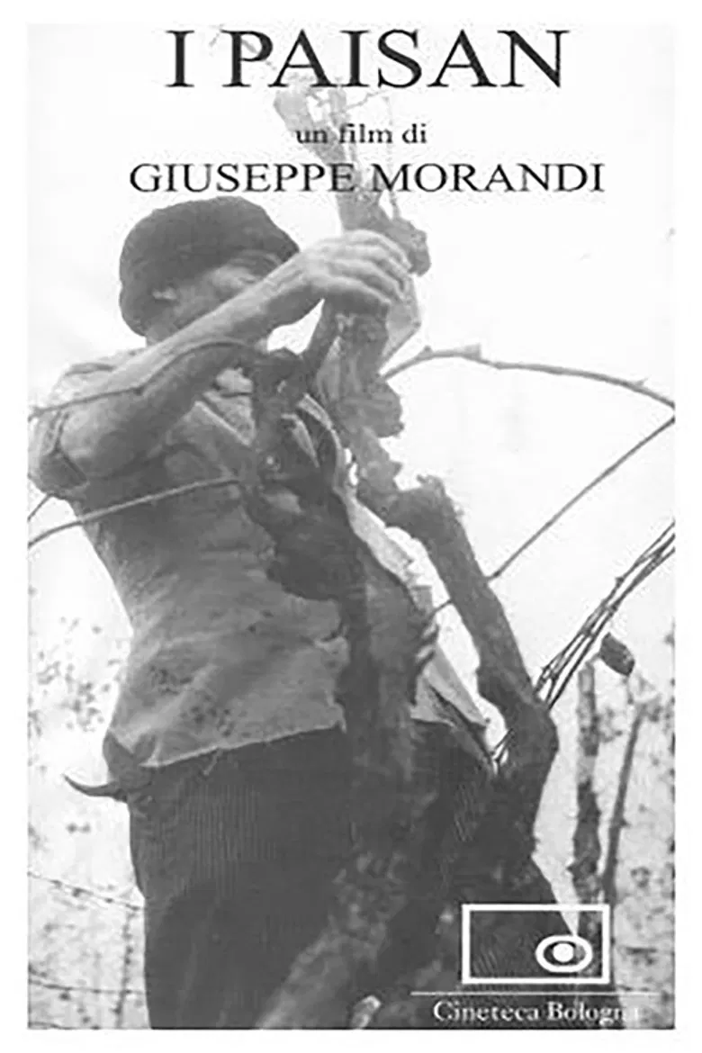 I paisan poster background