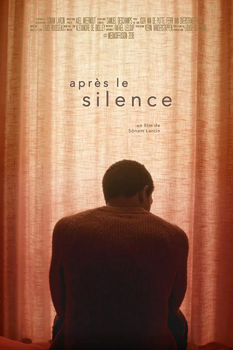 After the Silence poster background