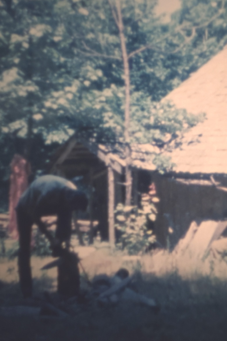 Vocation poster background