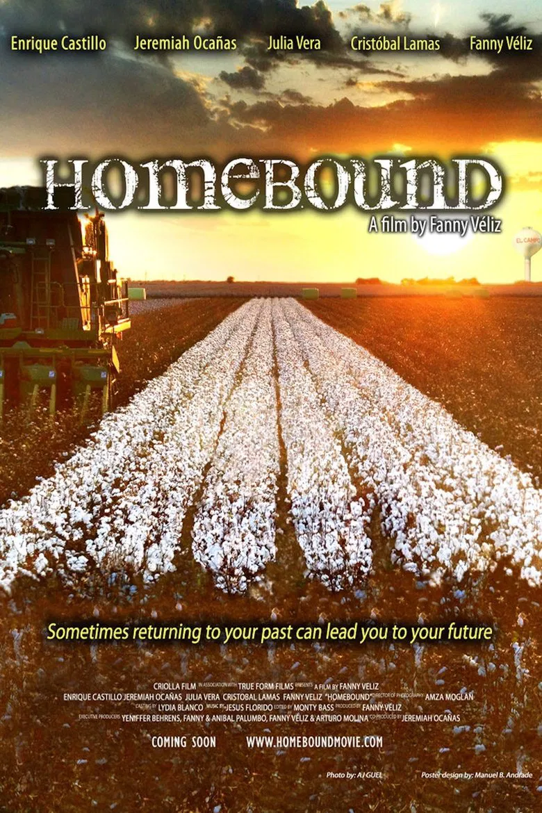Homebound poster background