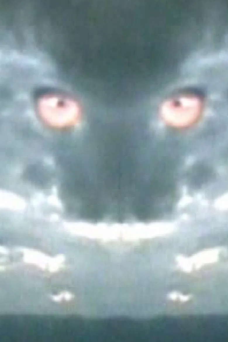 Haiku 2: Paper Dragon poster background