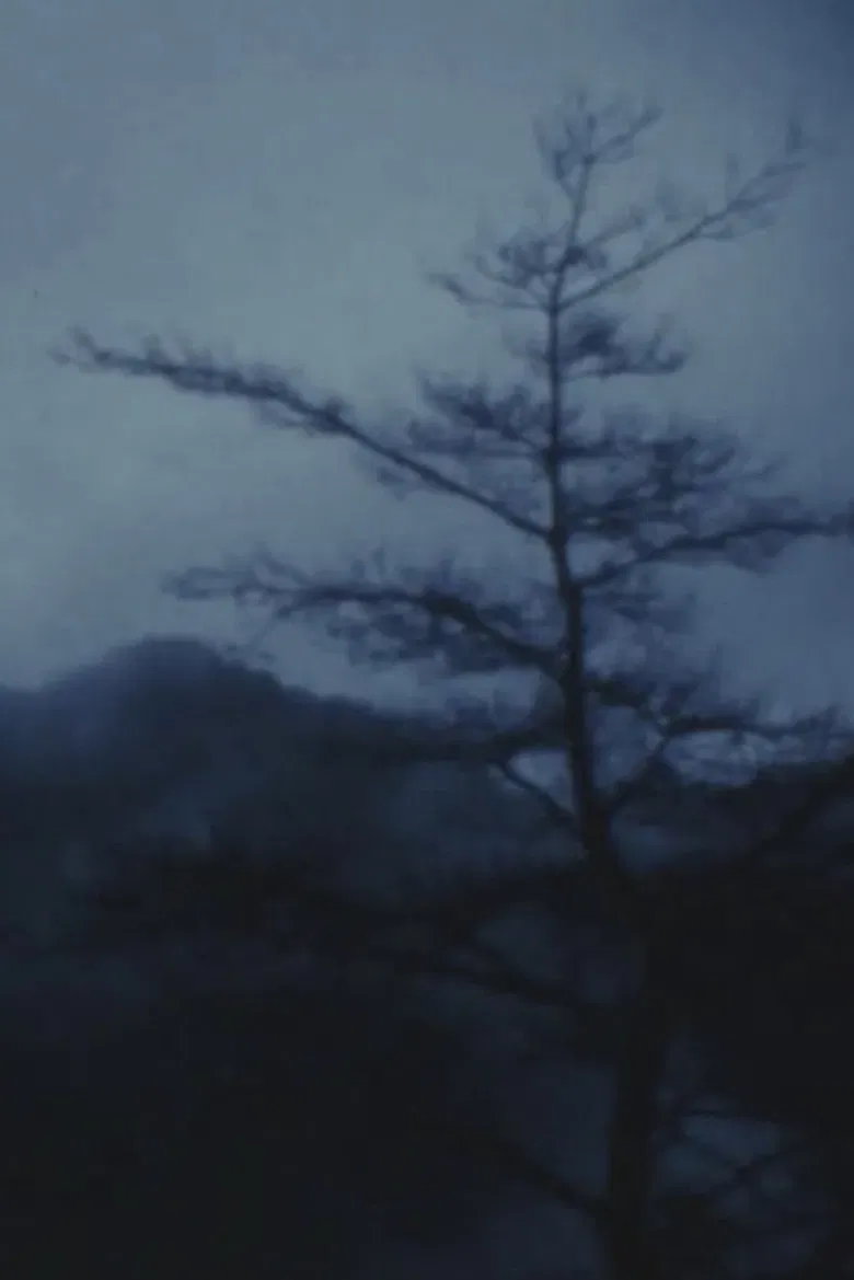 MAYA poster background