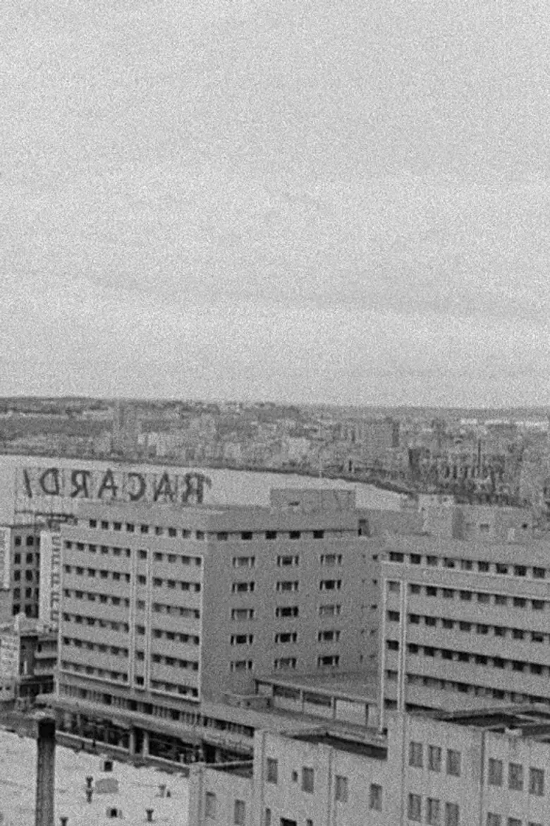 Looking for El Santo poster background