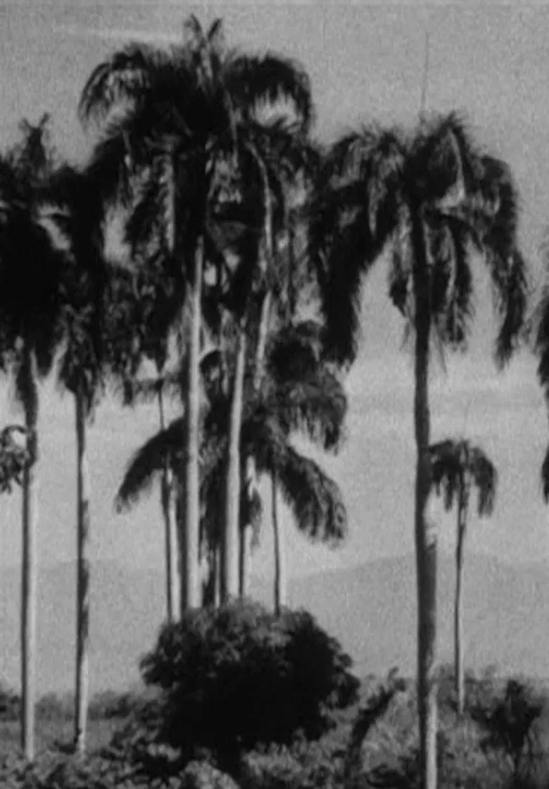 Haiti poster background