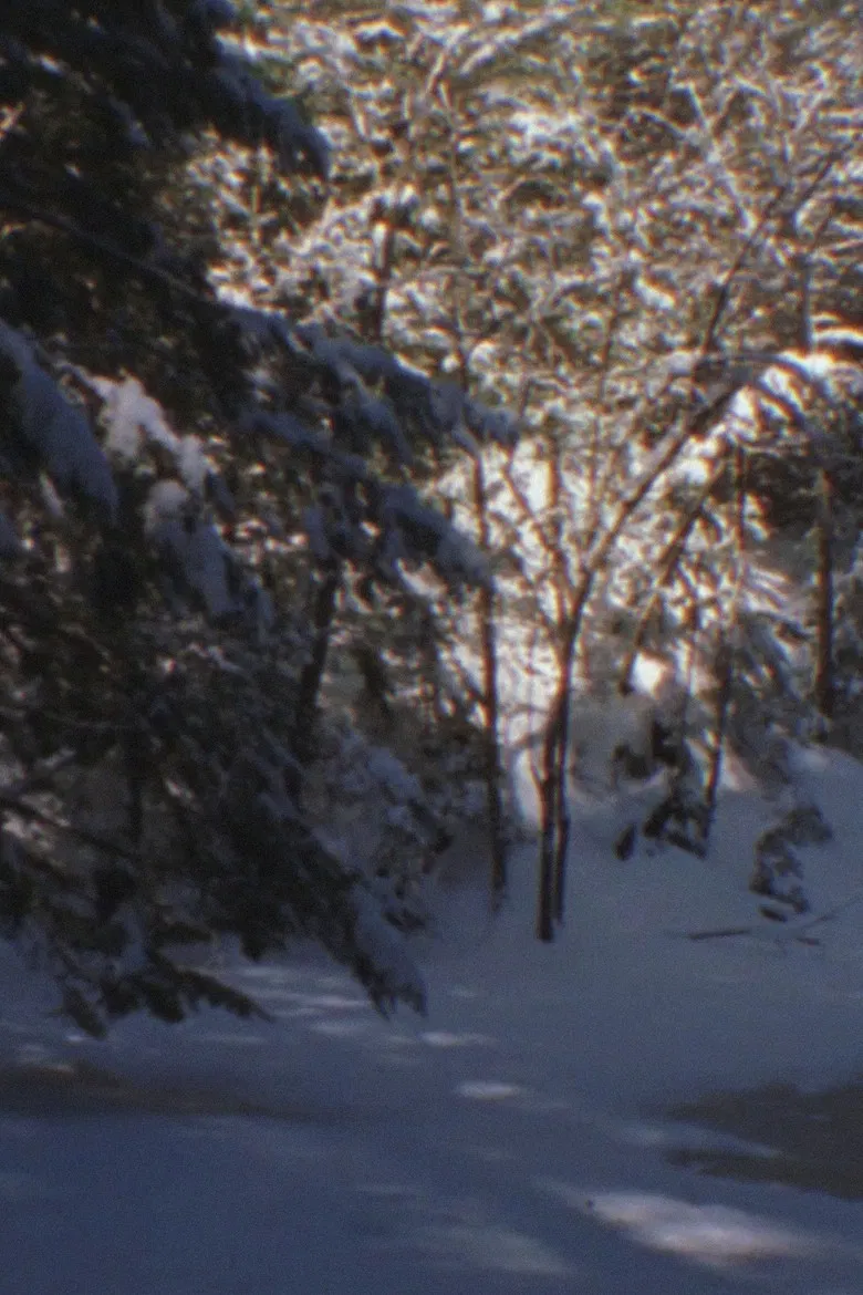 Winter Beyond Winter poster background