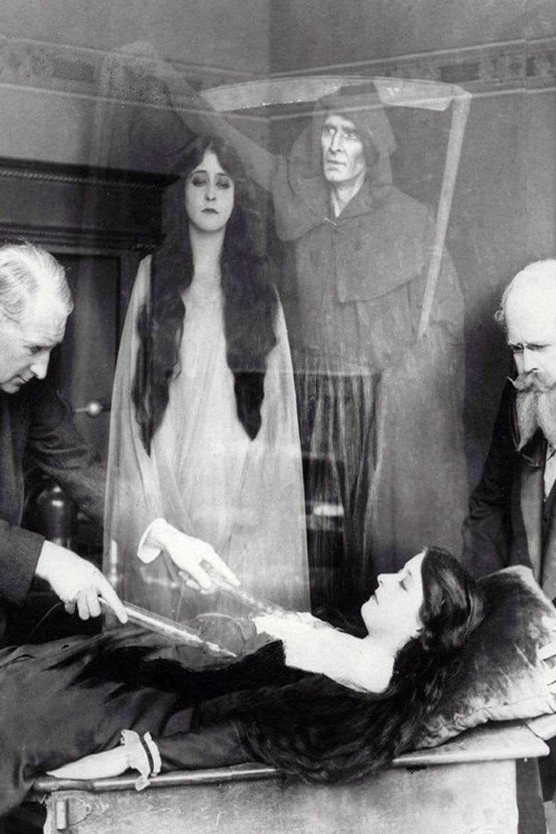 Lola poster background