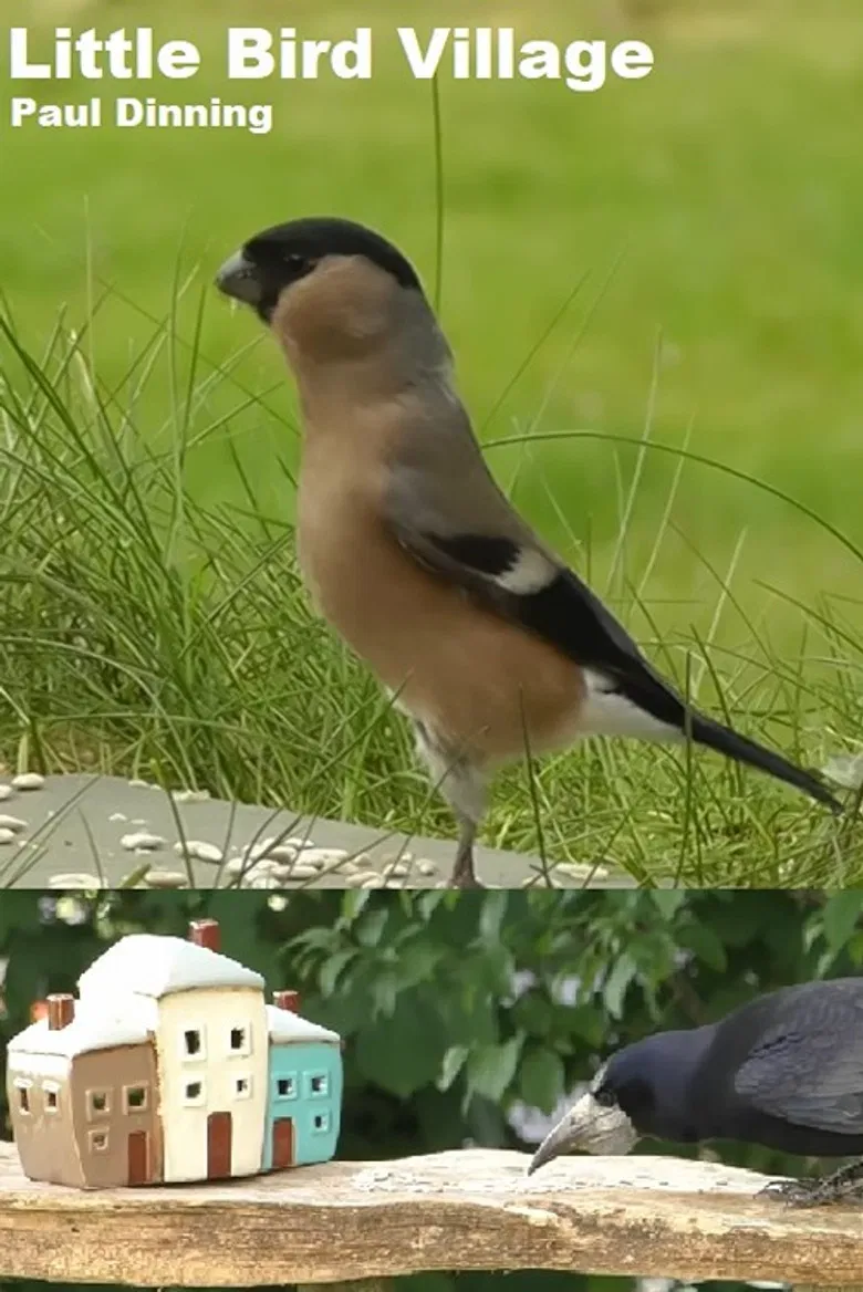 Little Bird Village poster background