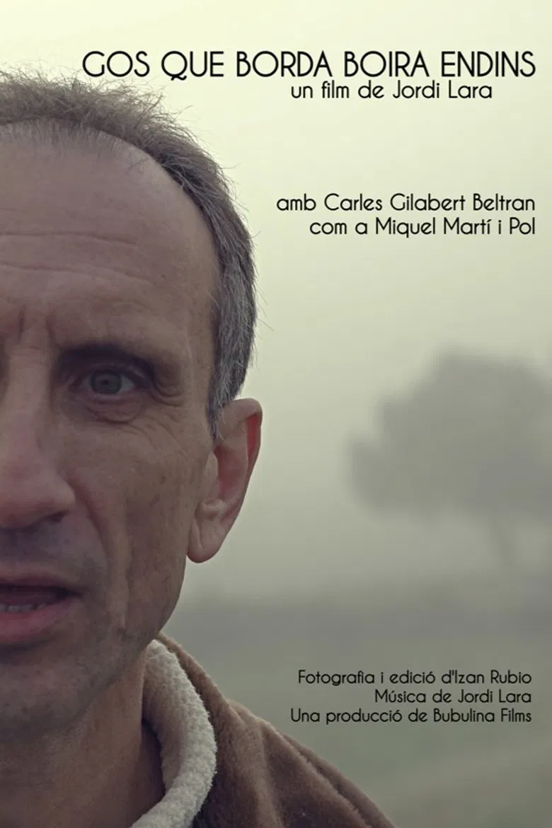 Gos que borda boira endins poster background