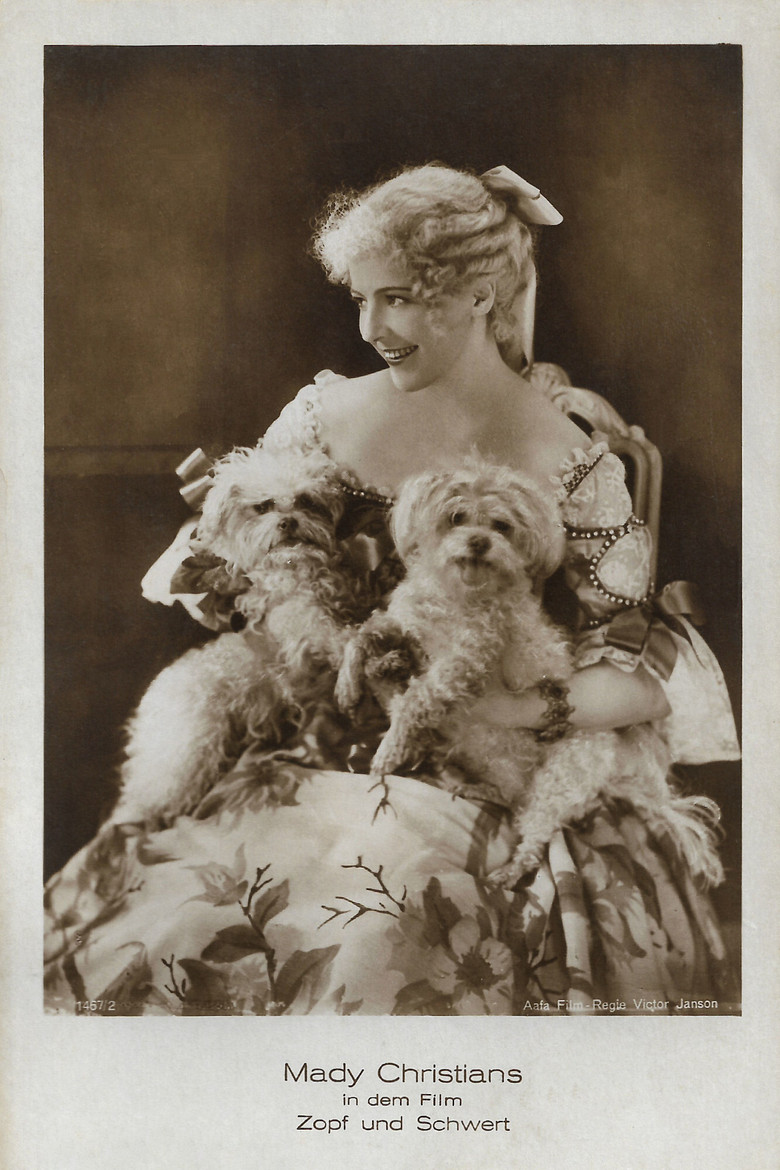 Zopf und Schwert poster background