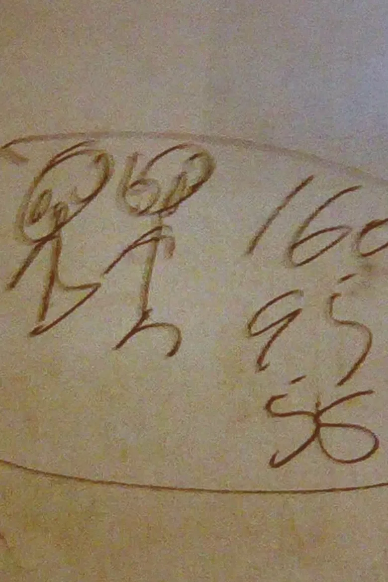 Yangtze Scribbler poster background