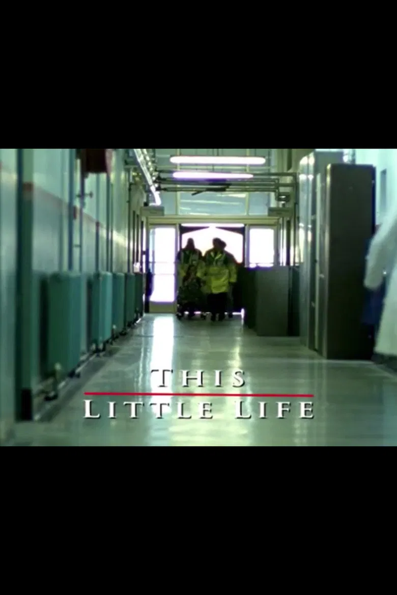 This Little Life poster background