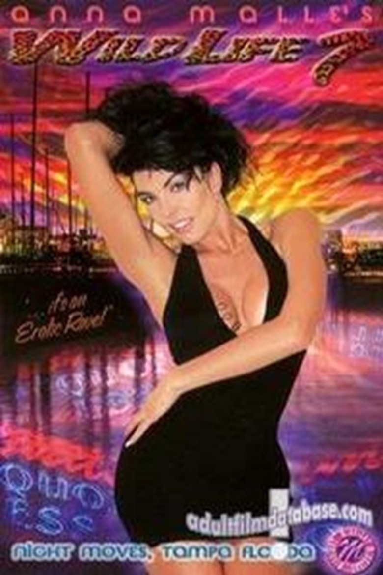 Anna Malle's Wild Life 7 - Night Moves, Tampa Florida poster background