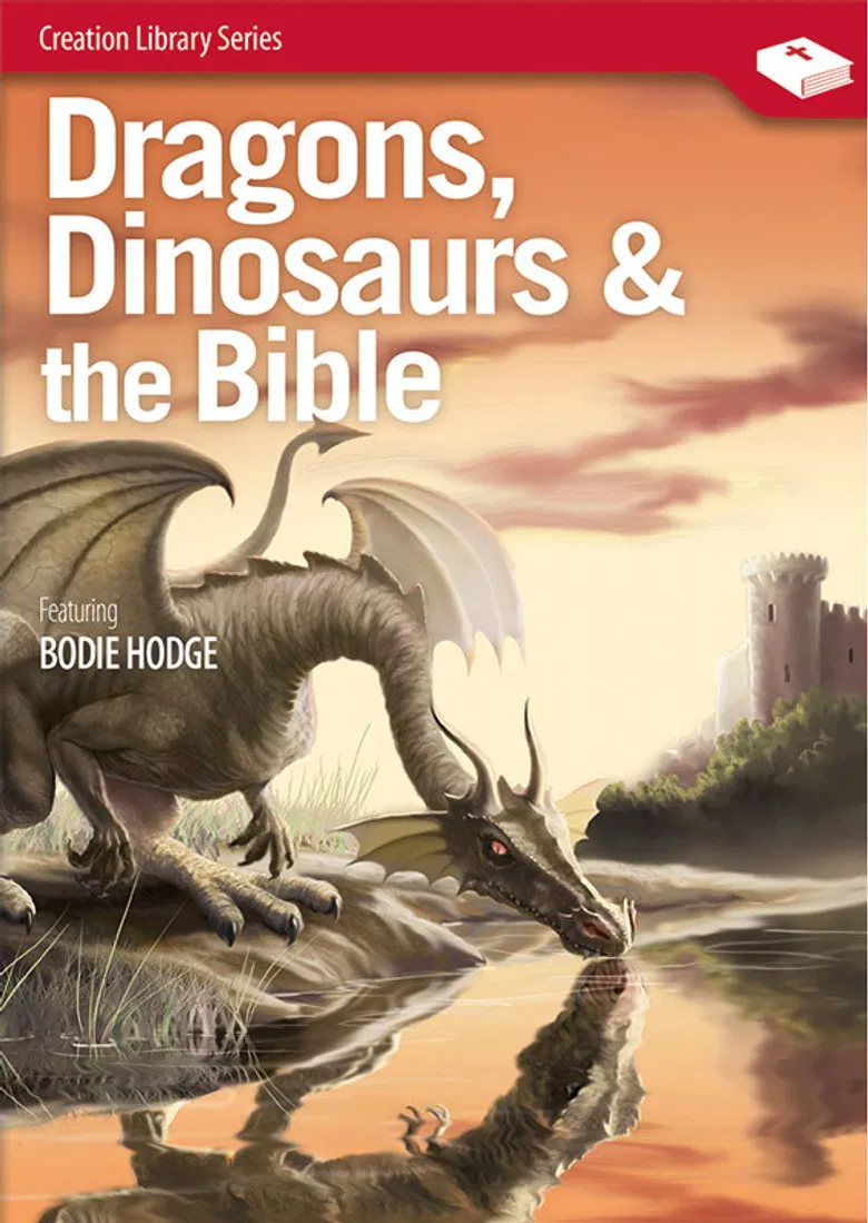 Dragons, Dinosaurs & the Bible poster background