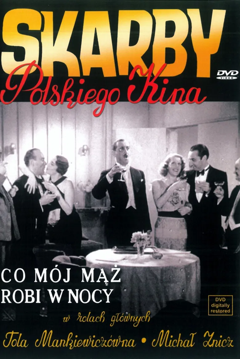 What Does My Husband Do at Night? poster background