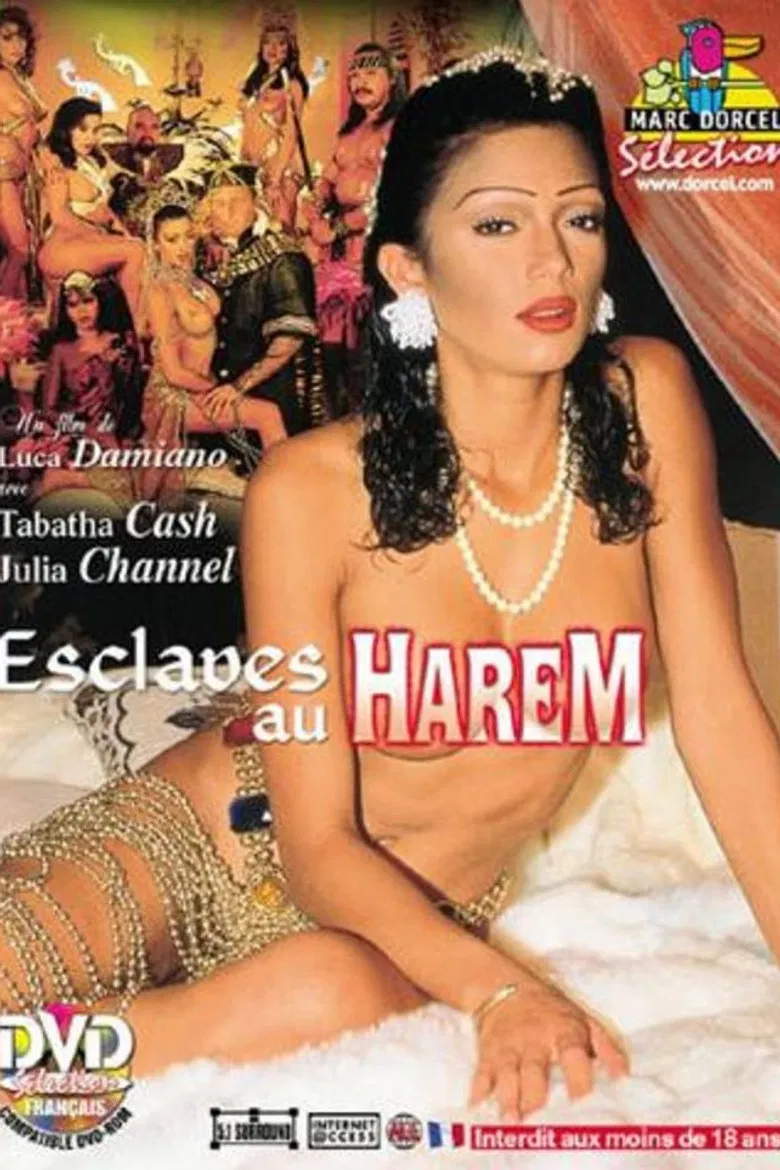 Esclaves Au Harem poster background