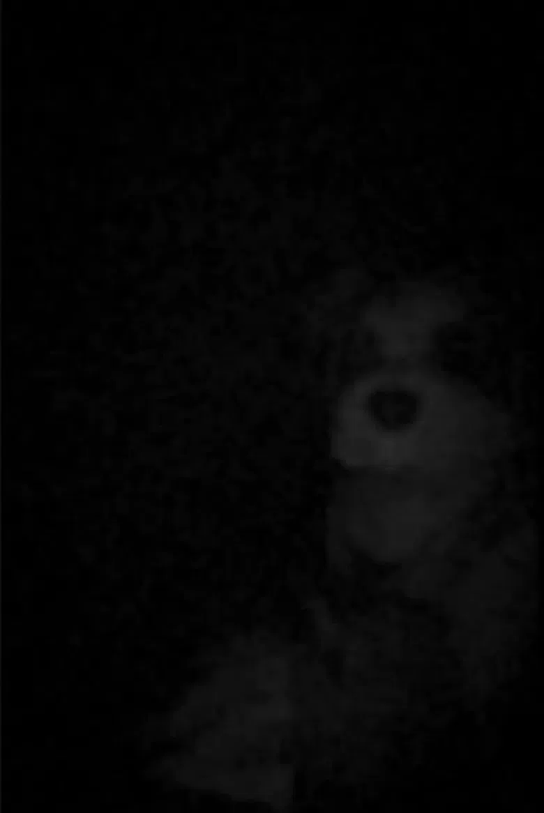 The Voices In FAO's Head poster background