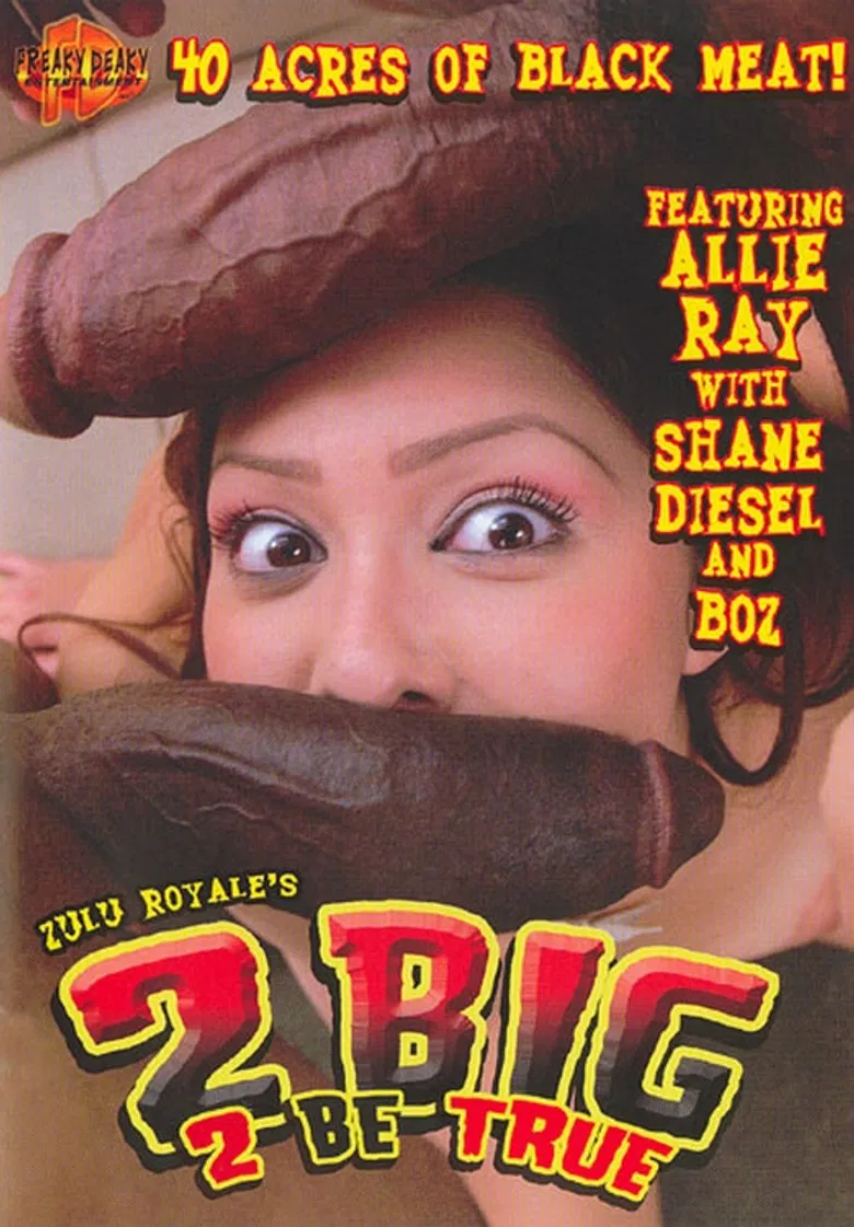 2 Big 2 Be True poster background