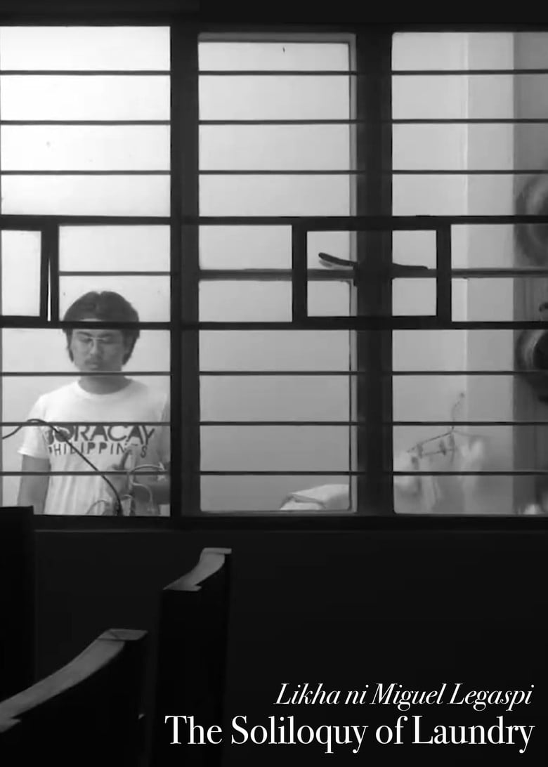 The Soliloquy Of Laundry poster background