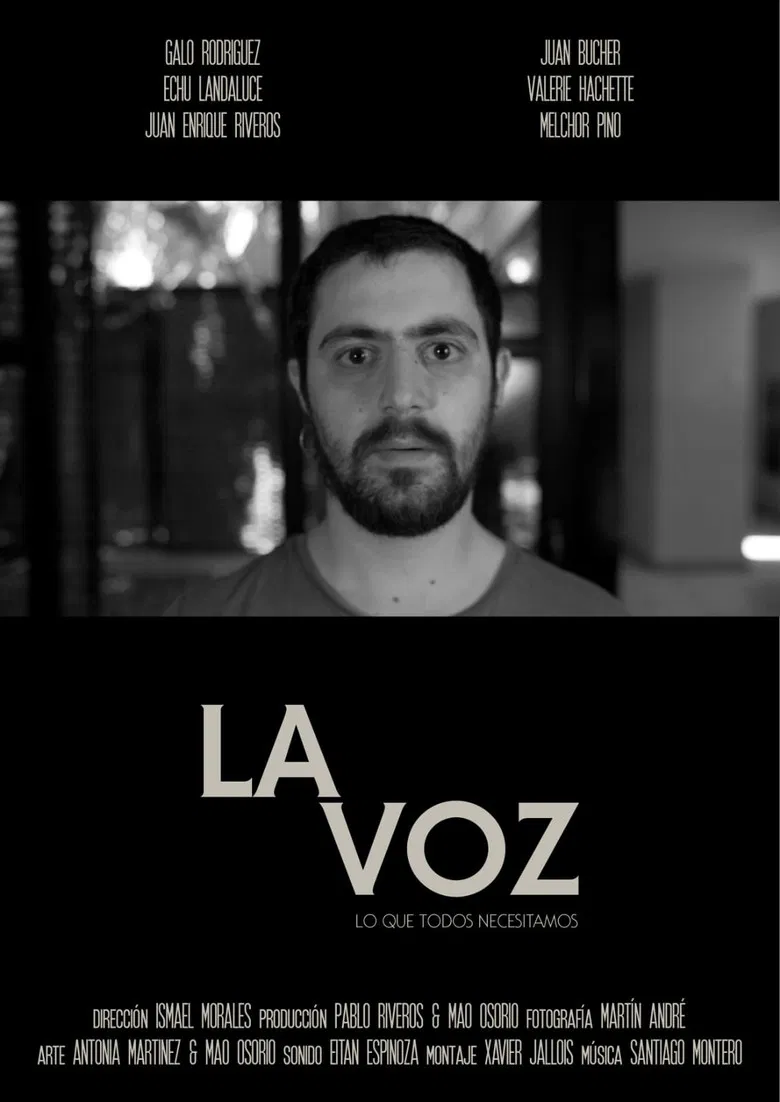 La Voz poster background