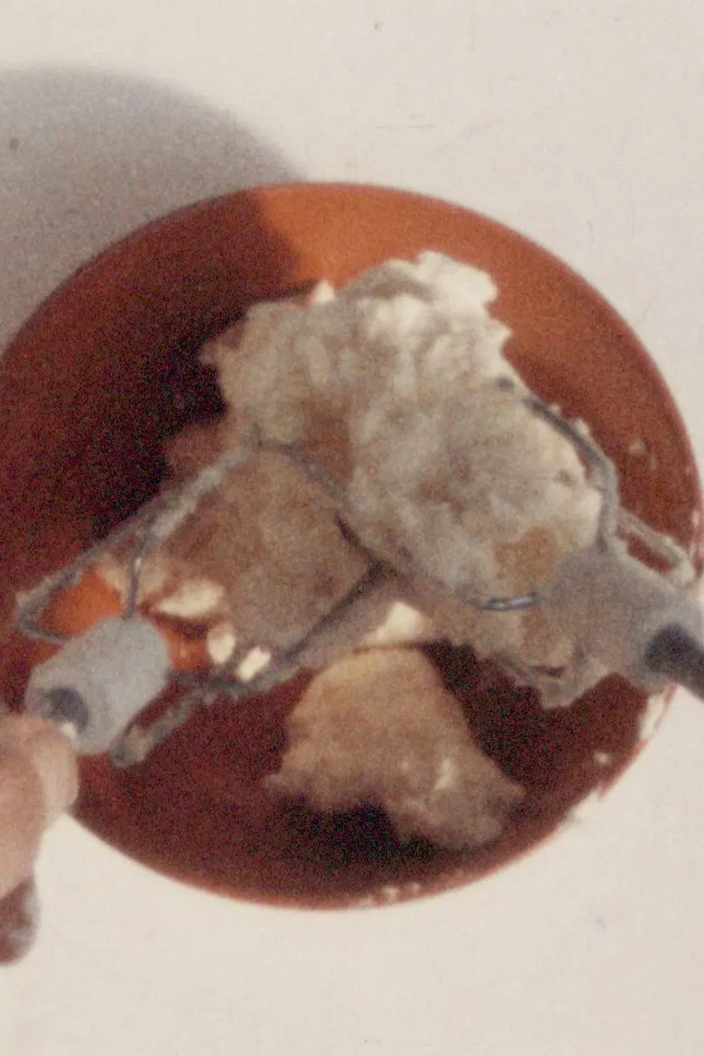 The Sadist Beats the Unquestionably Innocent poster background